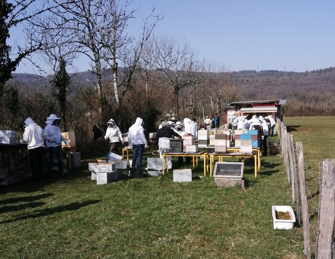 Travail au rucher