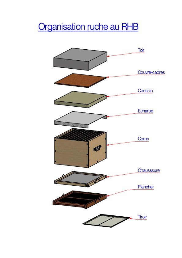 RHB10-00-B-Organisation-ruche-au-RHB_feuille1